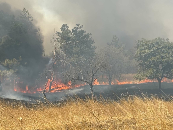 Пожар край Българово