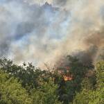 Пожар край Стара Загора: Двама са задържани за предизвикването на огнената стихия Пожар край Стара Загора