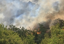 Пожар край Стара Загора