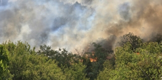 Пожар край Стара Загора