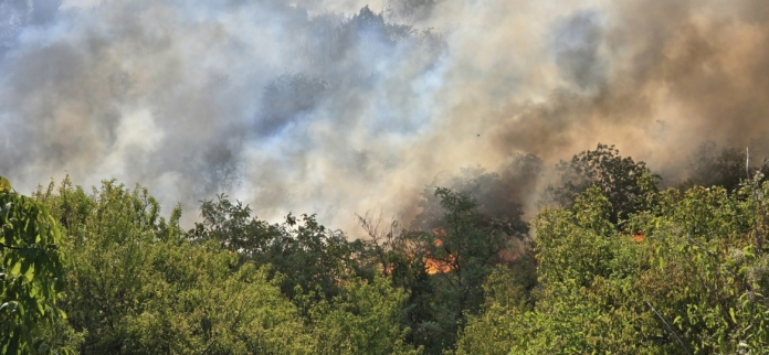 Пожар край Стара Загора