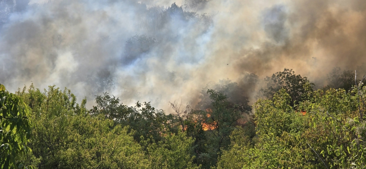 Двама мъже на 40 и 39 години предизвикали пожар в