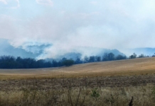 Частично бедствено положение в Хасковско: Пожар заплашва село Доситеево и защитената местност „Радинчево“ Пожар в Хасковско