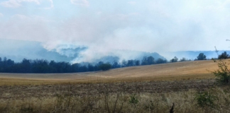 Пожар в Хасковско