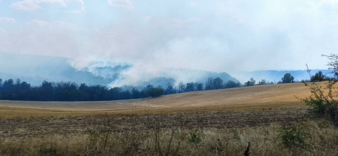 Пожар в Хасковско