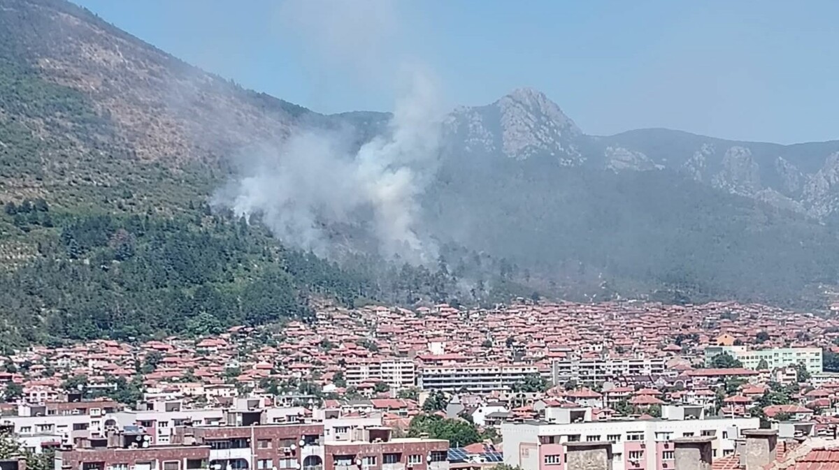 Голям пожар гори в местността Св Георги в Сигналът