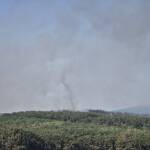 Пожарът край Сунгурларе