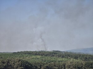 Пожарът край Сунгурларе: Битката с огнената стихия продължава! Самолети и техника на терен! 2 Пожарът край Сунгурларе