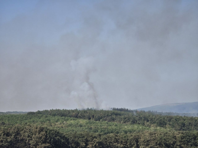 Пожарът край Сунгурларе