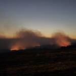 Пожарът край Сунгурларе