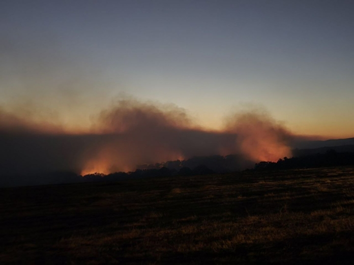 Пожарът край Сунгурларе Пожарът край Сунгурларе