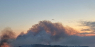 Пожарът в Сакар планина