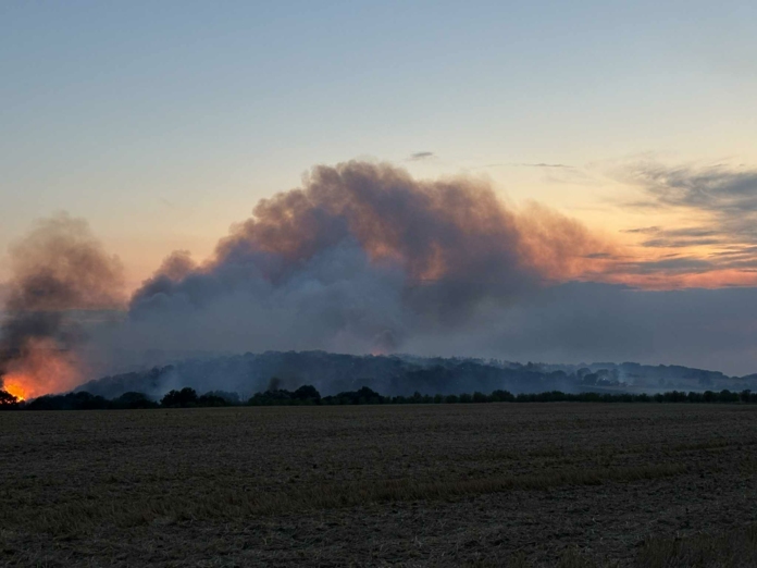 Пожарът в Сакар планина