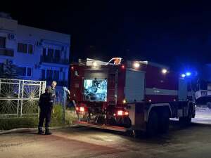 Пожарът във фермата