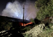 Пожарът във фермата