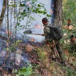 Пожари в Пирин и Сливен: Военните отново на първа линия Пожари