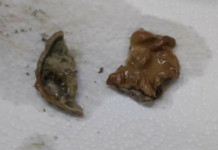 Гнусна находка в сок.