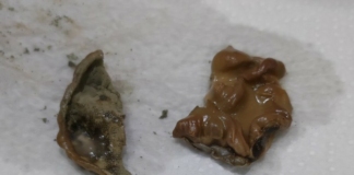 Гнусна находка в сок.