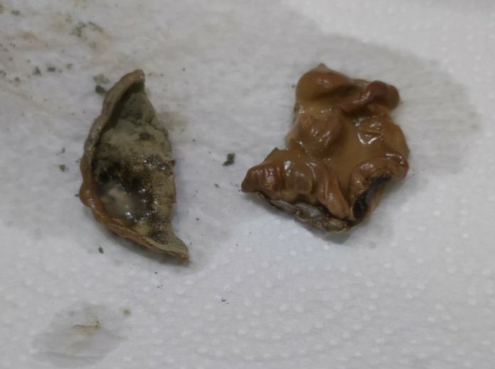 Гнусна находка в сок.