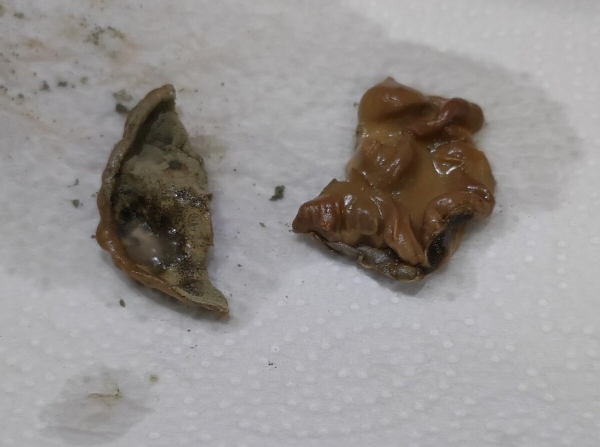 Жена от Северозапада попадна на шокираща и гнусна находка в