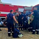 Пожари в Сунгурларе