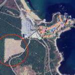 Теренът с изсечената гора