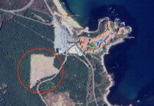 Теренът с изсечената гора