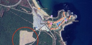 Теренът с изсечената гора