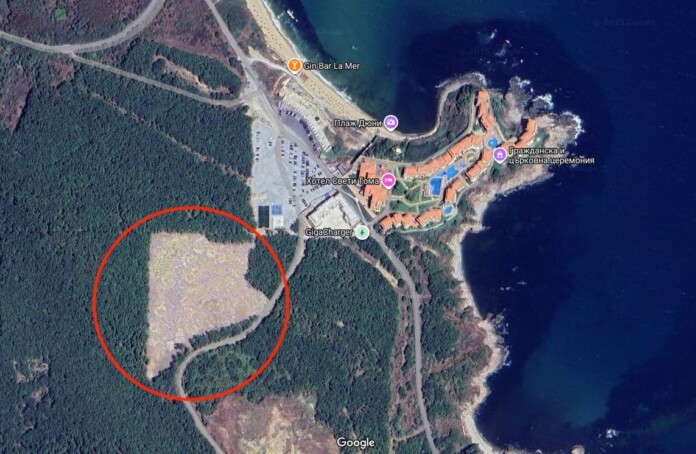 Теренът с изсечената гора