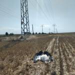 Трагедия край Вълчи дол