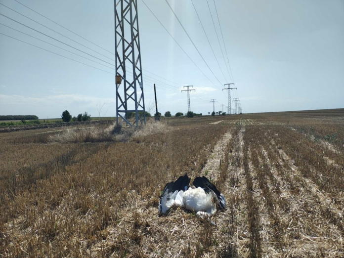 Трагедия край Вълчи дол