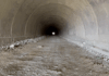 Златишкият тунел „Кашана“