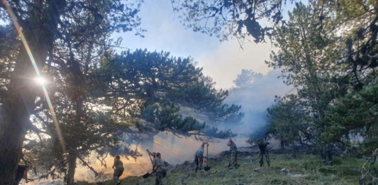 Военни гасят пожар