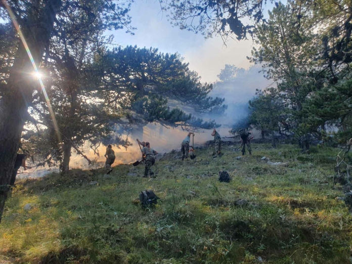 Военни гасят пожар