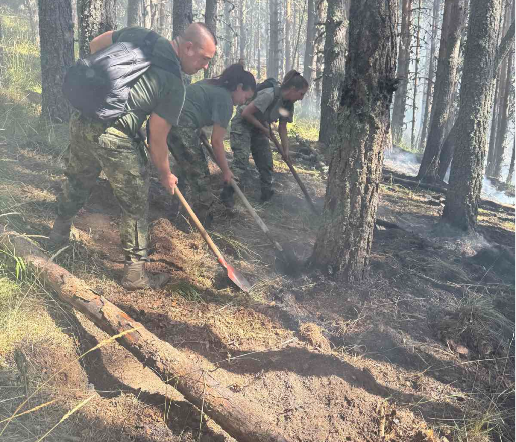 Формирование за овладяване и или преодоляване на последствията от бедствия от