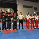 Европейското първенство по кикбокс