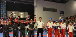 Европейското първенство по кикбокс