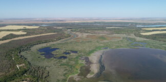 Езерото Сребърна