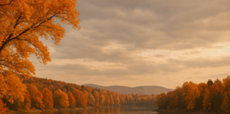 Настъпването на есента