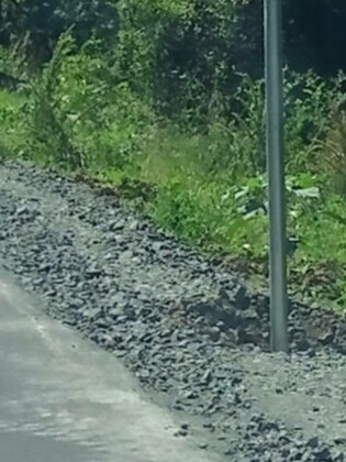 Ремонт на пътя Царево–Бродилово