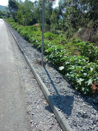 Ремонт на пътя Царево–Бродилово