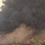 Пожарът край Плевен