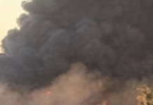 Пожарът край Плевен