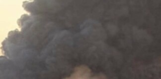Пожарът край Плевен