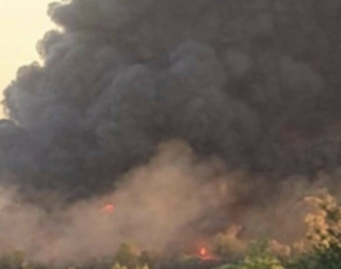 Пожарът край Плевен Пожарът край Плевен