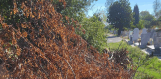 Състоянието на Гробищния парк в Бургас