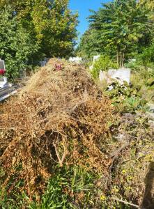 Състоянието на Гробищния парк в Бургас