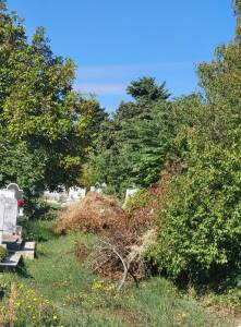 Състоянието на Гробищния парк в Бургас