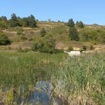 Язовир "Пазар дере"