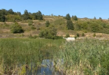 Язовир "Пазар дере"